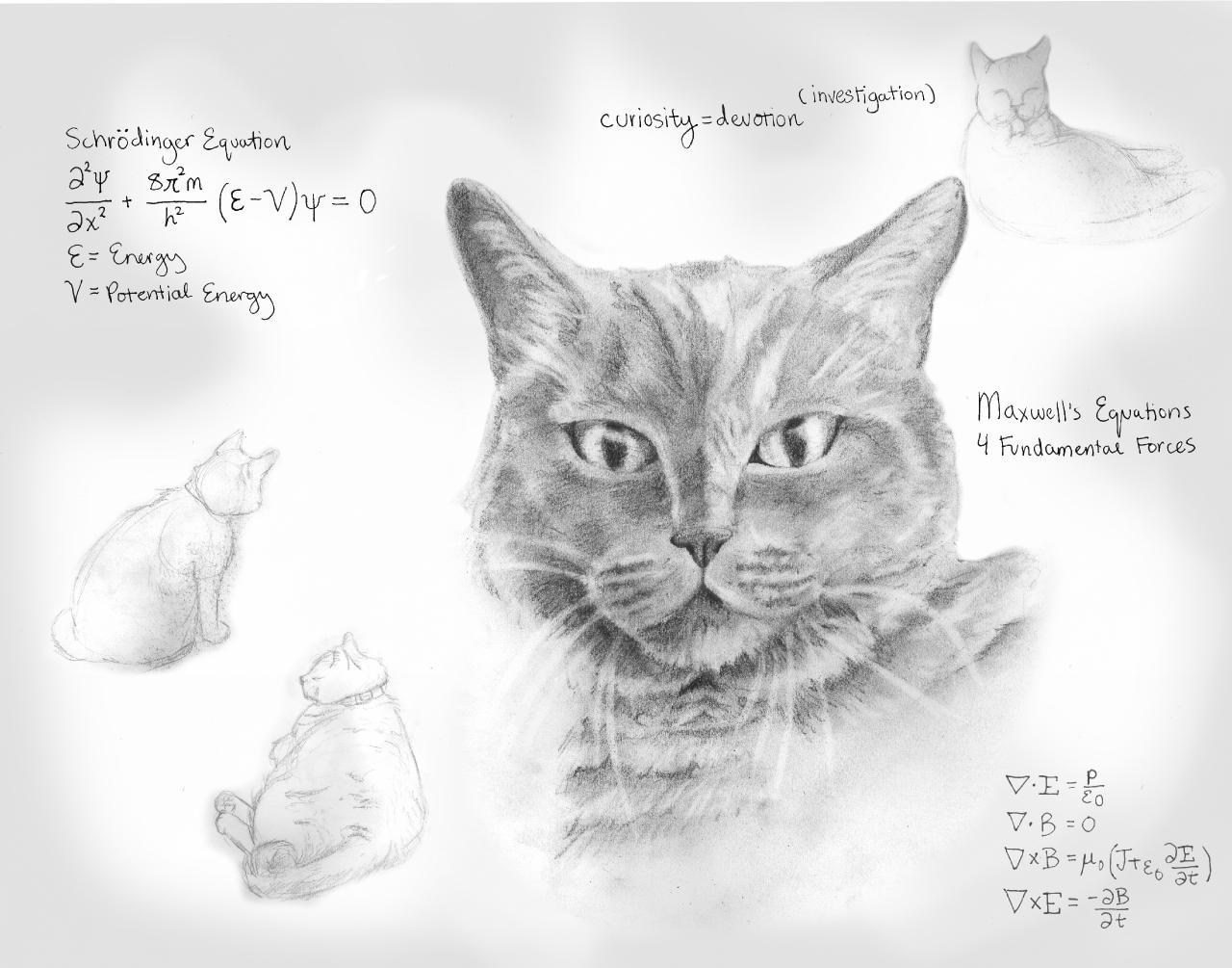 CatIllustration.jpg